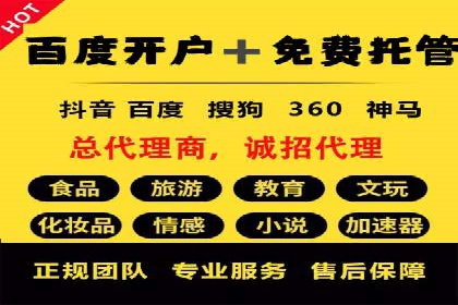 精准投放，高效转化：关键词竞价排名案例解析